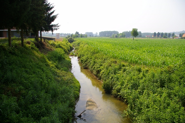 Foto del Comune di Monale (AT)Monale (AT)_31